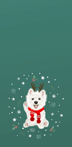 a white dog with reindeer antlers on its head