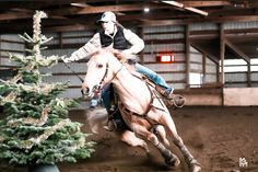 a woman riding on the back of a white horse next to a christmas tree in an indoor arena