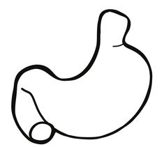 a black and white drawing of a stomach with the end pointing up to it's right