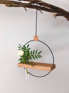 a hanging planter with flowers in it on a wooden shelf next to a tree branch