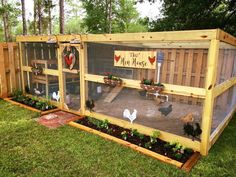 an outdoor chicken coop with chickens in it and plants growing out of the top half