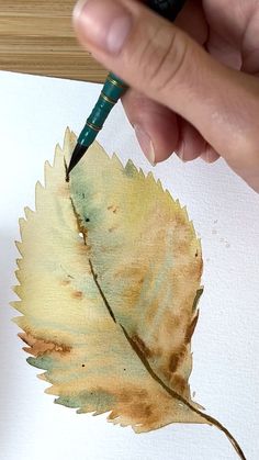 a person holding a pen and drawing a leaf with watercolor pencils on paper