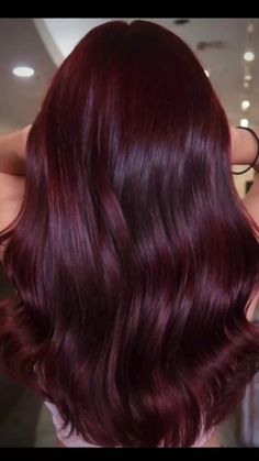 Dark Cherry Hair Color, Dark Cherry Hair, Colour 2023, Cherry Hair Colors, Black Red Hair, Hair 101