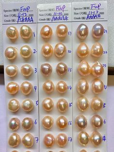 "Details Top jewelry quality, 11-12MM baroque Freshwater Cultured Pearls, Natural color, Good for genius jewelry design.1990 Collection, sold by pair These pearls are my personal collection since later in 1990. The pearls have genius color and luster and store in my personal collection for more than 25 years. Each of them remaining good color and shinning with its luster.  Lot 166-1112-062223-1 Quality: AAAAA Shape: Baroque Size(actual size): 11.0-12.0 mm Color: As pictured Luster: high Luster B Akoya Pearl Necklace, Tahitian Pearl Necklace, Edison Pearls, Loose Pearls, Pearl Strands, Pearl Types, Akoya Pearls, Tahitian Pearls, Freshwater Cultured Pearls