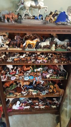 a wooden shelf filled with lots of toy figurines