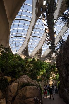 the inside of a building with large rocks and plants