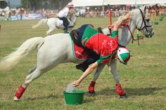 two people on horses playing with each other in a field while others watch from the stands