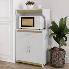 a white microwave oven sitting on top of a cabinet next to a potted plant