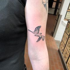 Wild Geese Tattoo, Alex Tattoo, Aa Tattoos, Dragon Tattoo Ideas, Spilled Ink, Tattoos Inspo, Wild Geese