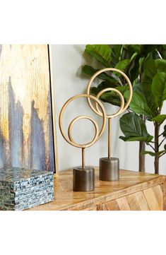 three metal rings on top of a wooden table next to a painting and potted plant