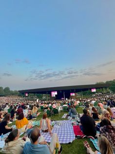 a crowd of people sitting on top of a lush green field under a blue sky