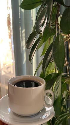 a cup of coffee sitting on top of a saucer next to a potted plant