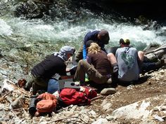 four people sitting on the ground next to a river and looking at their laptops