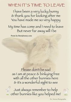 a poem written in english with an image of a bunny's face and the words, when it's time to leave