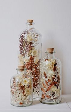 three glass bottles with dried flowers in them