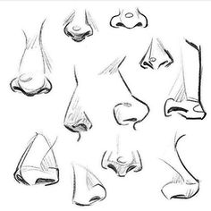 a set of different types of feet drawn in black and white pencils on paper