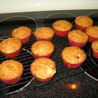 muffins cooling on the rack in an oven