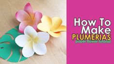 how to make plumerias with paper flower template on the table and then cut out flowers