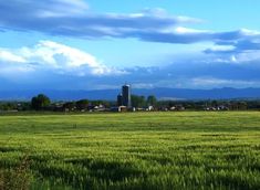 a large field full of green grass under a blue sky with some clouds in the background