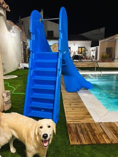 a dog standing in front of a pool with a slide next to it on the grass