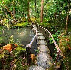 a wooden walkway in the middle of a forest with moss growing on it's sides