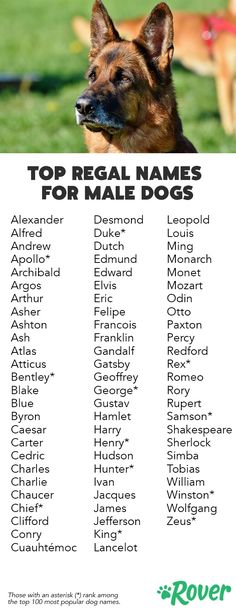 a poster with the names of dogs on it