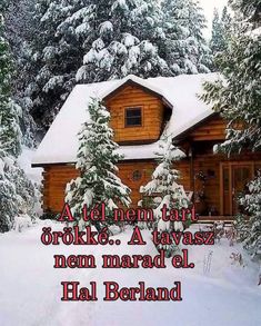 a house with snow on the roof and trees around it, in front of a snowy forest