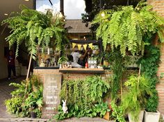 an outdoor bar with lots of green plants