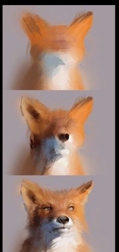 three different angles of a fox's head