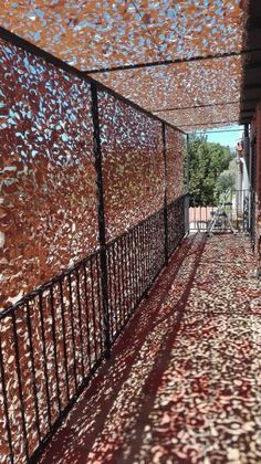 Shade/Privacy: Shade, Privacy & Decoration Sun Shade, Outdoor Spaces