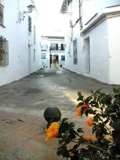 an empty street with white buildings and yellow flowers