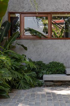 a cement bench sitting in front of a window next to green plants and bushes on the side of a building