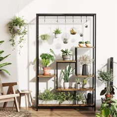 a room filled with lots of potted plants