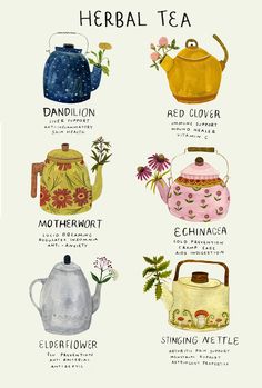 a poster with different types of teapots on it's sides and names