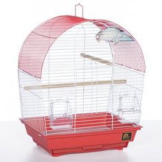 a small bird in a red cage on a white background