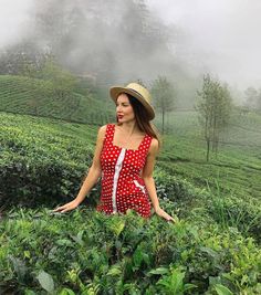 a woman in a red polka dot dress and straw hat standing in a tea field