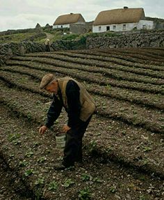 a man standing in the middle of a field holding a bucket