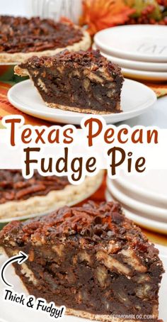 there is a piece of pecan fudge pie on the plate and in front of it