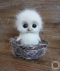 a small white owl sitting in a nest on top of a wooden floor with its eyes wide open