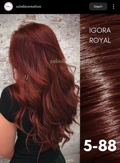 Igora Hair Color Formulas, Colorado Pelo, Pelo Colorado, Cabello Hair