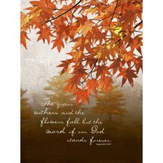 an autumn tree with leaves in the foreground and a bible verse written on it