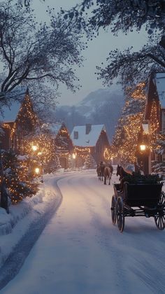 a horse drawn carriage traveling down a snow covered road next to christmas lights and trees