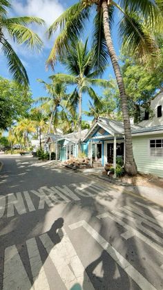 a person riding a skateboard down the middle of a street next to palm trees