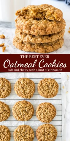 Stack of oatmeal cookies and oatmeal cookies on a cooling rack Soft Chewy Oatmeal Cookies, Oatmeal Cookies Recipes Easy, Soft Oatmeal Cookies, Oat Cookie Recipe, Chewy Oatmeal Cookies, Cookies Chewy, Oatmeal Cookies Easy, Best Oatmeal Cookies, Cookies Healthy