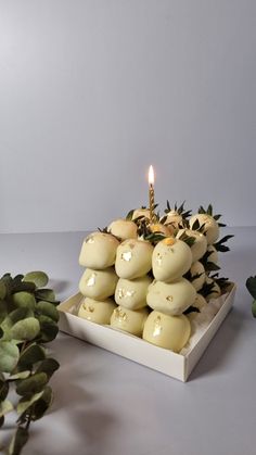 there is a candle that is on top of some kind of cake in the shape of apples