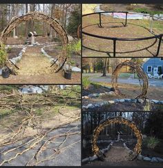 four different pictures of various types of trees in the yard, including a circular metal structure with branches attached to it