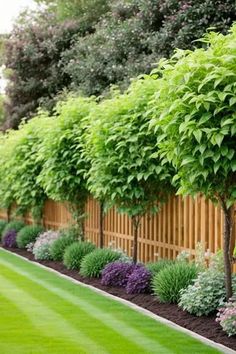 a long row of trees in front of a wooden fence with purple and green flowers