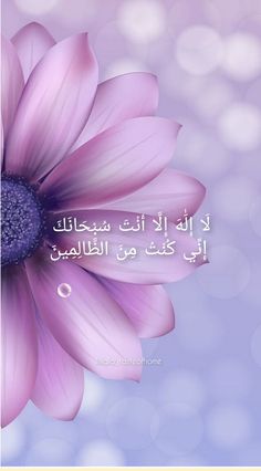 a pink flower with arabic writing on the bottom and an image of a blue background