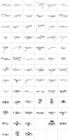 an image of different types of lines in the shape of fish tails and tailes