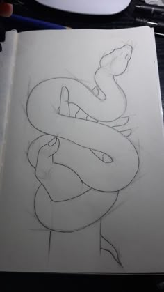 a drawing of a snake on a piece of paper